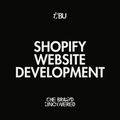 Shopify Website Development