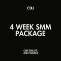Monthly Social Media Management